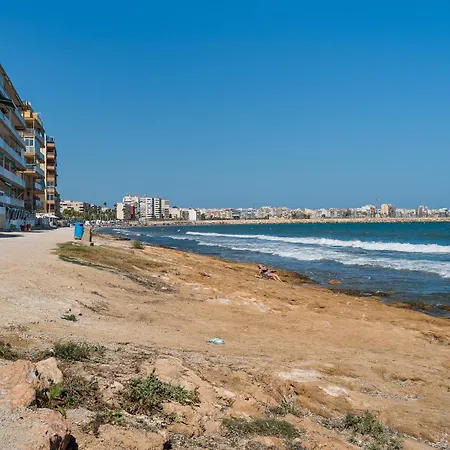 Redovan 1br تورّيفيِخا